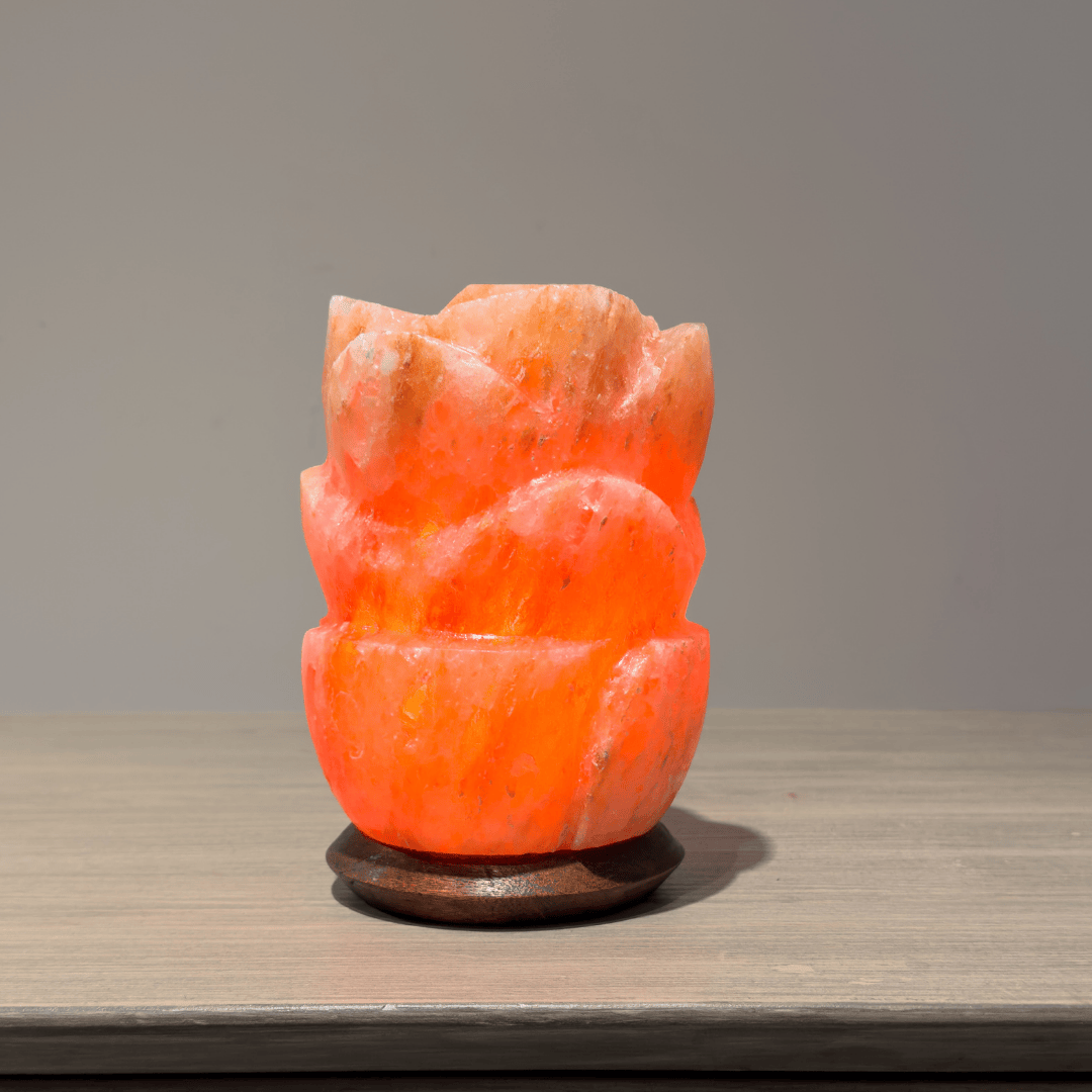 OTANTİK KAYA TUZU ABAJUR PK0007